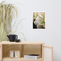 Succulent 4 Botanical Nature Photo Framed Wall Art Print
