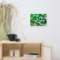 Succulent Botanical Nature Photo Framed Wall Art Print