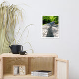 Summer Shadows Botanical Nature Photo Framed Wall Art Print