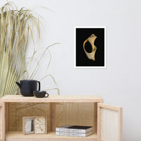 States of Erosion Image 2 Whelk Shell Coastal Nature Photo Framed Wall Art Print
