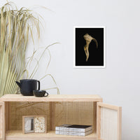 States of Erosion Image 4 Whelk Shell Coastal Nature Photo Framed Wall Art Print