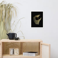 States of Erosion Image 5 Whelk Shell Coastal Nature Photo Framed Wall Art Print