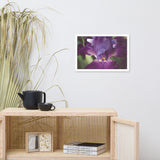 Glowing Iris Moody Midnight Floral Nature Photo Framed Wall Art Print