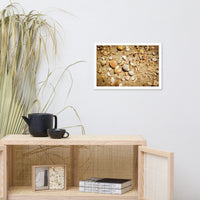 Broken Seashells and Sand Coastal Nature Photo Framed Wall Art Print