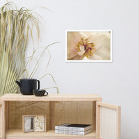 Eye of Peony Moody Midnight Floral Nature Photo Framed Wall Art Print