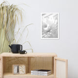 Infrared Flower Black and White Floral Nature Photo Framed Wall Art Print
