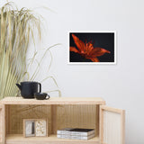 Orange Lily with Back light Floral Nature Photo Framed Wall Art Print