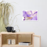 Soft Focus Iris Petals Floral Nature Photo Framed Wall Art Print
