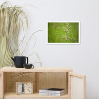 Softened Fields Botanical Nature Photo Framed Wall Art Print