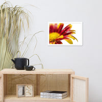 Water Droplets On Mum Petals Floral Nature Photo Framed Wall Art Print