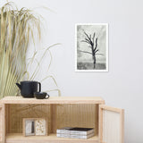 Rotting Away Alone Black and White Botanical Nature Photo Framed Wall Art Print