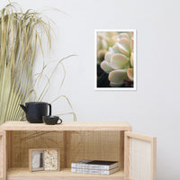 Succulent 4 Botanical Nature Photo Framed Wall Art Print