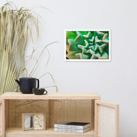 Succulent Botanical Nature Photo Framed Wall Art Print