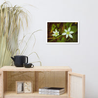 Wild Beauty Floral Nature Photo Framed Wall Art Print