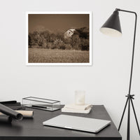Abandoned Barn In The Trees Sepia Framed Photo Paper Wall Art Prints