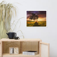 Countryside Olive Tree Sunset Landscape Photo Framed Wall Art Print