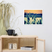 Sunset on the Marsh with Grasses Framed Photo Paper Wall Art Prints