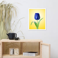 Blue Tulip Minimal Floral Nature Photo - For Ukraine Refugees Framed Wall Art Print