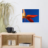 Fall Colors Botanical Nature Photo Framed Wall Art Print