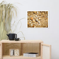 Broken Seashells and Sand Coastal Nature Photo Framed Wall Art Print