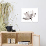 Lotus Flower Tinted Effect Floral Nature Framed Photo Paper Poster