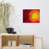 Nature's Beauty Floral Nature Photo Framed Wall Art Print