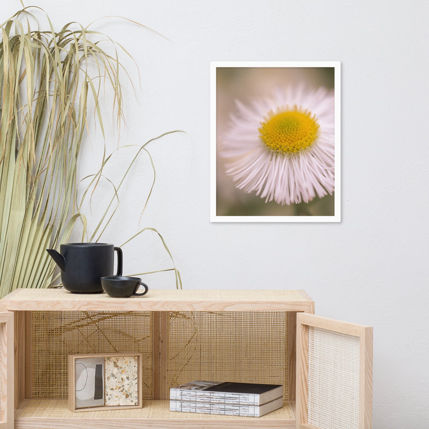 Philadelphia Fleabane Single Bloom Floral Nature Photo Framed Wall Art Print