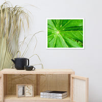 Peaceful Greenery Botanical Nature Photo Framed Wall Art Print