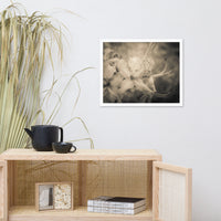 Sepia Aged Rhododendron Blooms Floral Nature Photo Framed Wall Art Print