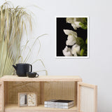 Single Snapdragon Bloom Floral Nature Photo Framed Wall Art Print