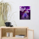 Stigma of Iris Floral Nature Photo Framed Wall Art Print