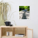 Summer Shadows Botanical Nature Photo Framed Wall Art Print