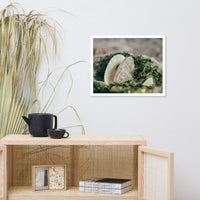 Seaweed and Shells Coastal Nature Photo Framed Wall Art Print