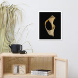 States of Erosion Image 2 Whelk Shell Coastal Nature Photo Framed Wall Art Print