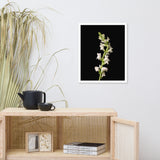 White Snapdragons Floral Nature Photo Framed Wall Art Print