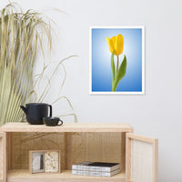 Yellow Tulip Minimal Floral Nature Photo - For Ukraine Refugees Framed Wall Art Print