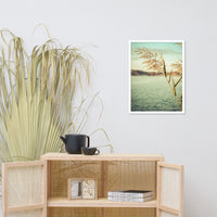 Golden Dreams Botanical Nature Photo Framed Wall Art Print