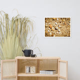 Broken Seashells and Sand Coastal Nature Photo Framed Wall Art Print