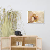 Eye of Peony Moody Midnight Floral Nature Photo Framed Wall Art Print