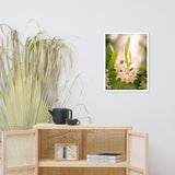 Floral Tranquility Flower Nature Photo Framed Wall Art Print