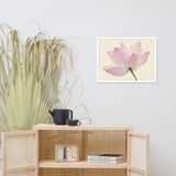 Lotus Flower Creamy Haze Effect Floral Nature Photo Framed Photo Paper Poster