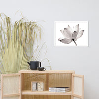 Lotus Flower Tinted Effect Floral Nature Framed Photo Paper Poster