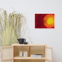 Nature's Beauty Floral Nature Photo Framed Wall Art Print