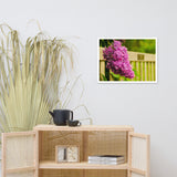 Park Bench with Lilac Floral Nature Photo Framed Wall Art Print