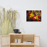 Royal Sunset Lily Floral Nature Photo Framed Wall Art Print