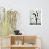 Rotting Away Alone Black and White Botanical Nature Photo Framed Wall Art Print