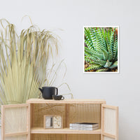Succulent 2 Botanical Nature Photo Framed Wall Art Print