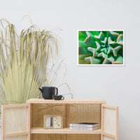 Succulent Botanical Nature Photo Framed Wall Art Print