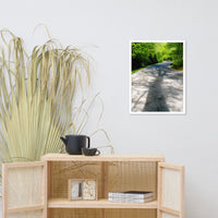 Summer Shadows Botanical Nature Photo Framed Wall Art Print