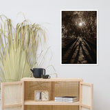 Historic New Castle Urban Landscape Photo Framed Wall Art Print